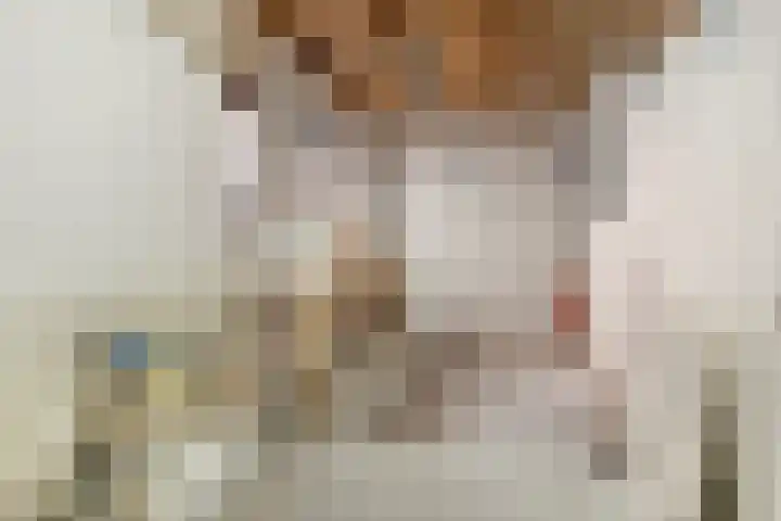 Kluut 15 Sommelsdijk thumbnail 32