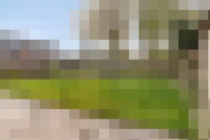 Kluut 15 Sommelsdijk thumbnail 33