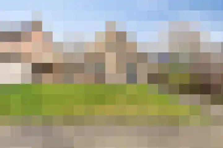 Kluut 15 Sommelsdijk thumbnail 34
