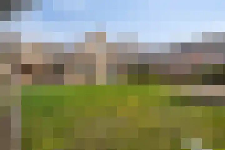 Kluut 15 Sommelsdijk thumbnail 35