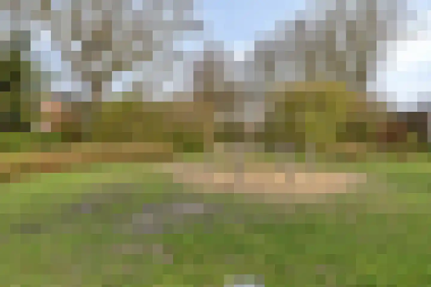 Kluut 15 Sommelsdijk thumbnail 36