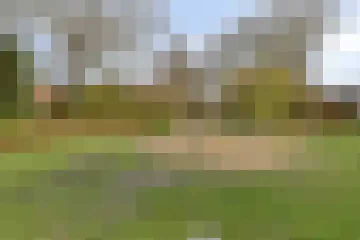Kluut 15 Sommelsdijk thumbnail 36