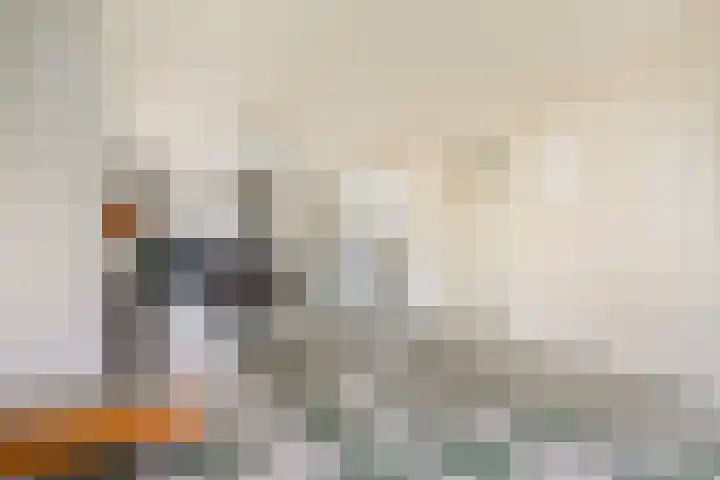 Kluut 15 Sommelsdijk thumbnail 4
