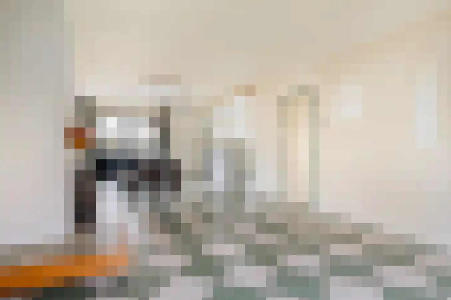 Kluut 15 Sommelsdijk thumbnail 4
