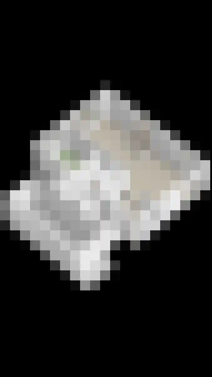 Kluut 15 Sommelsdijk thumbnail 40
