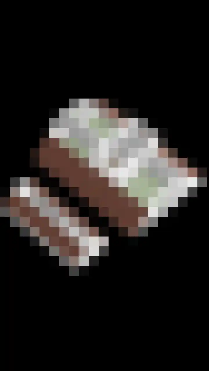 Kluut 15 Sommelsdijk thumbnail 41