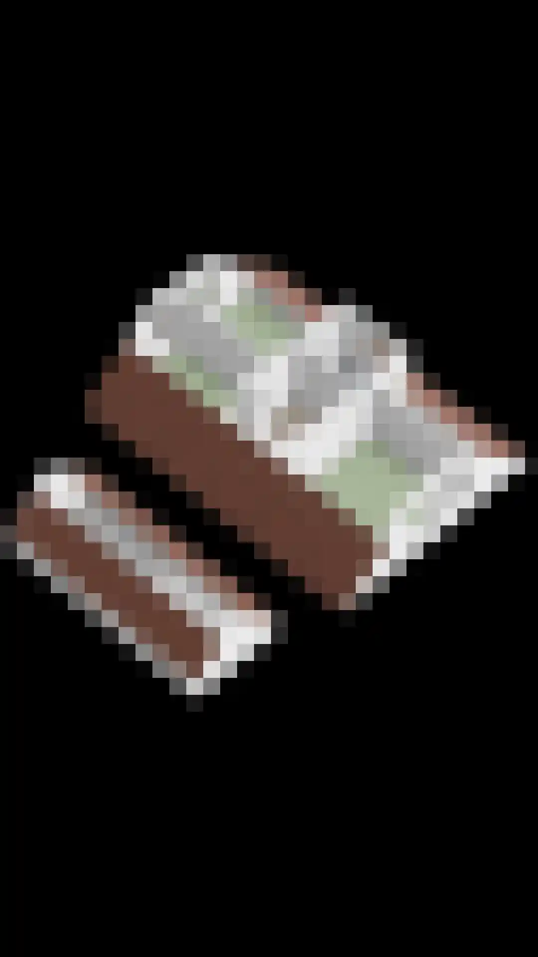 Kluut 15 Sommelsdijk thumbnail 41