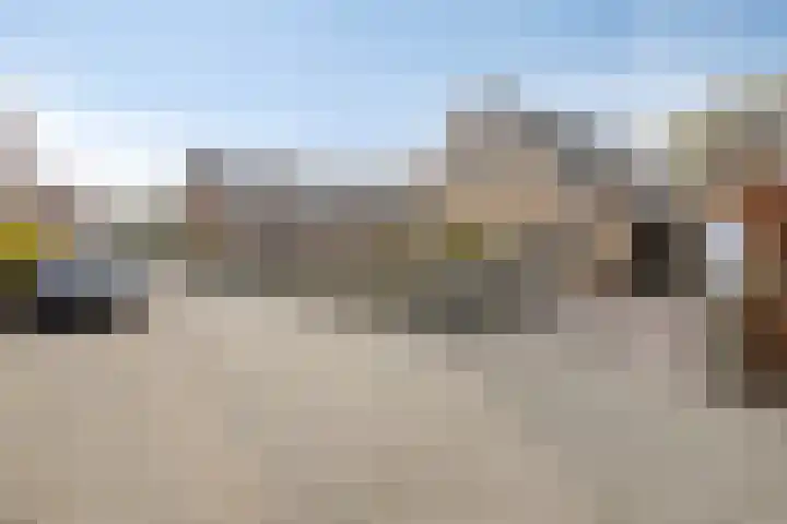 Kluut 15 Sommelsdijk thumbnail 6