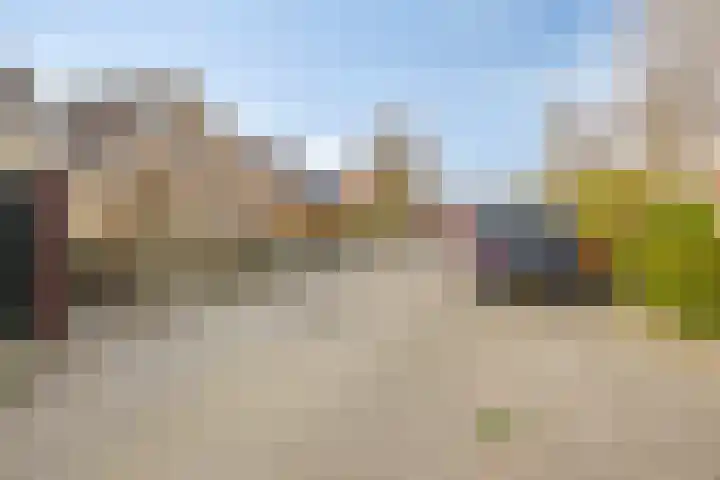Kluut 15 Sommelsdijk thumbnail 7