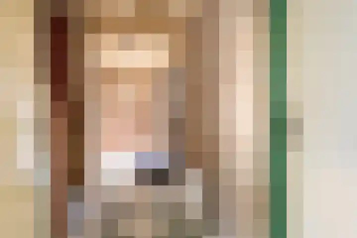 Kluut 15 Sommelsdijk thumbnail 8