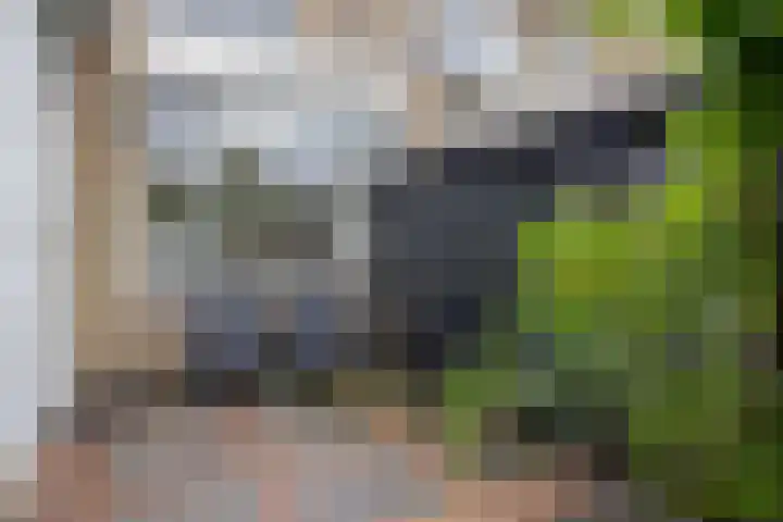 Kluut 17 Bunschoten-Spakenburg thumbnail 22