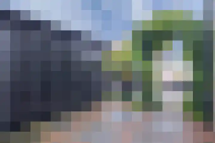 Kluut 17 Bunschoten-Spakenburg thumbnail 23