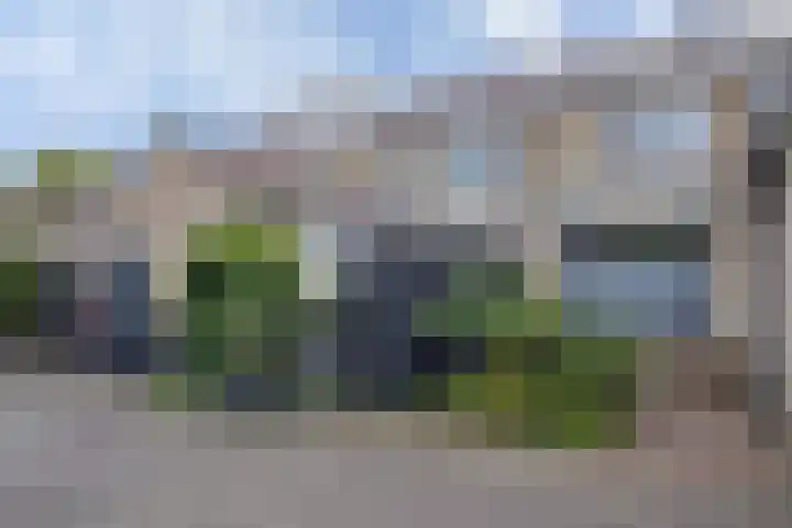 Kluut 17 Bunschoten-Spakenburg thumbnail 25