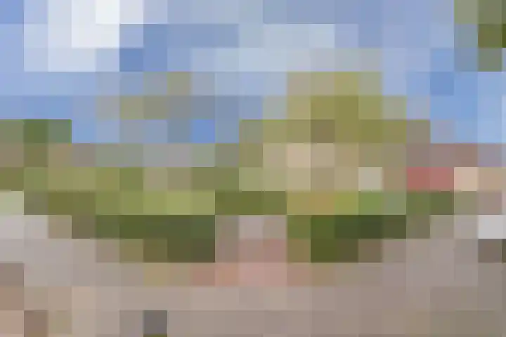 Kluut 17 Bunschoten-Spakenburg thumbnail 27