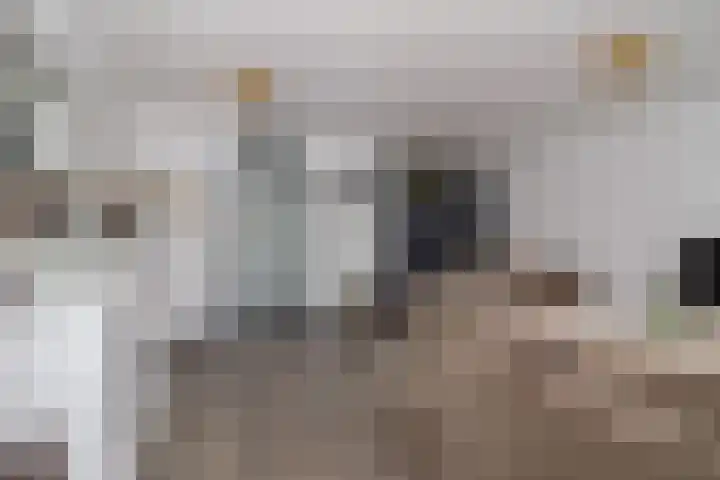 Kluut 17 Bunschoten-Spakenburg thumbnail 5
