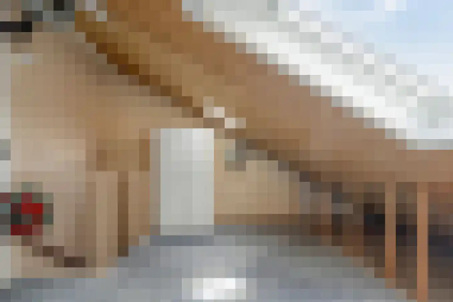 Kluut 19 Bunschoten-Spakenburg thumbnail 20