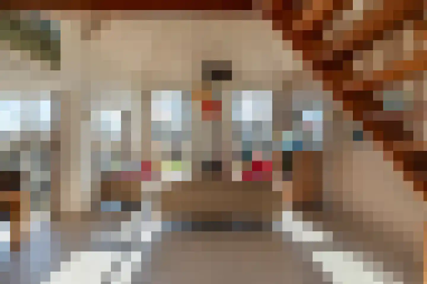Kluut 2 Zoutelande thumbnail 10