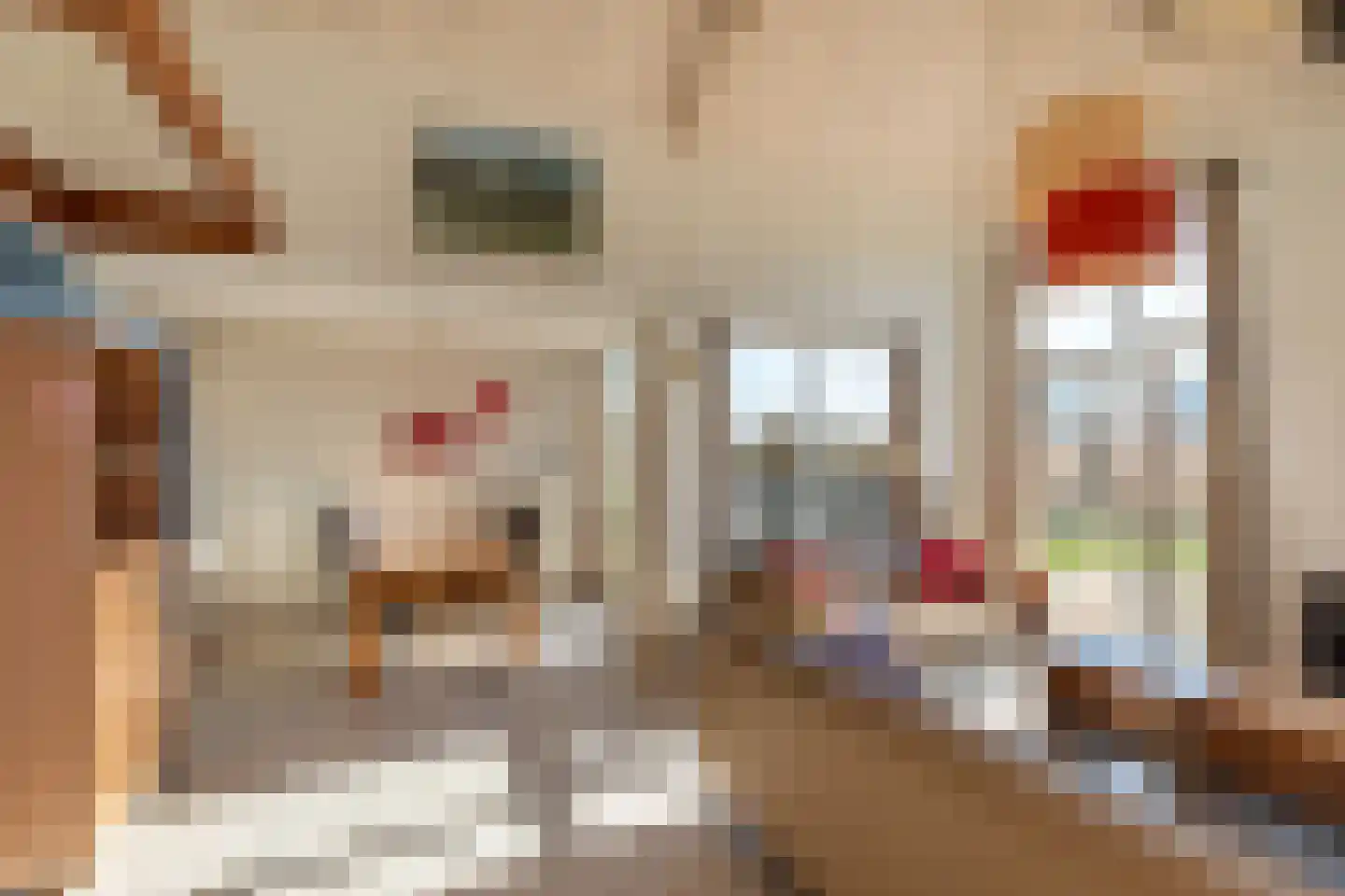 Kluut 2 Zoutelande thumbnail 15