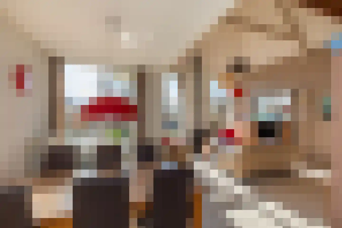 Kluut 2 Zoutelande thumbnail 16
