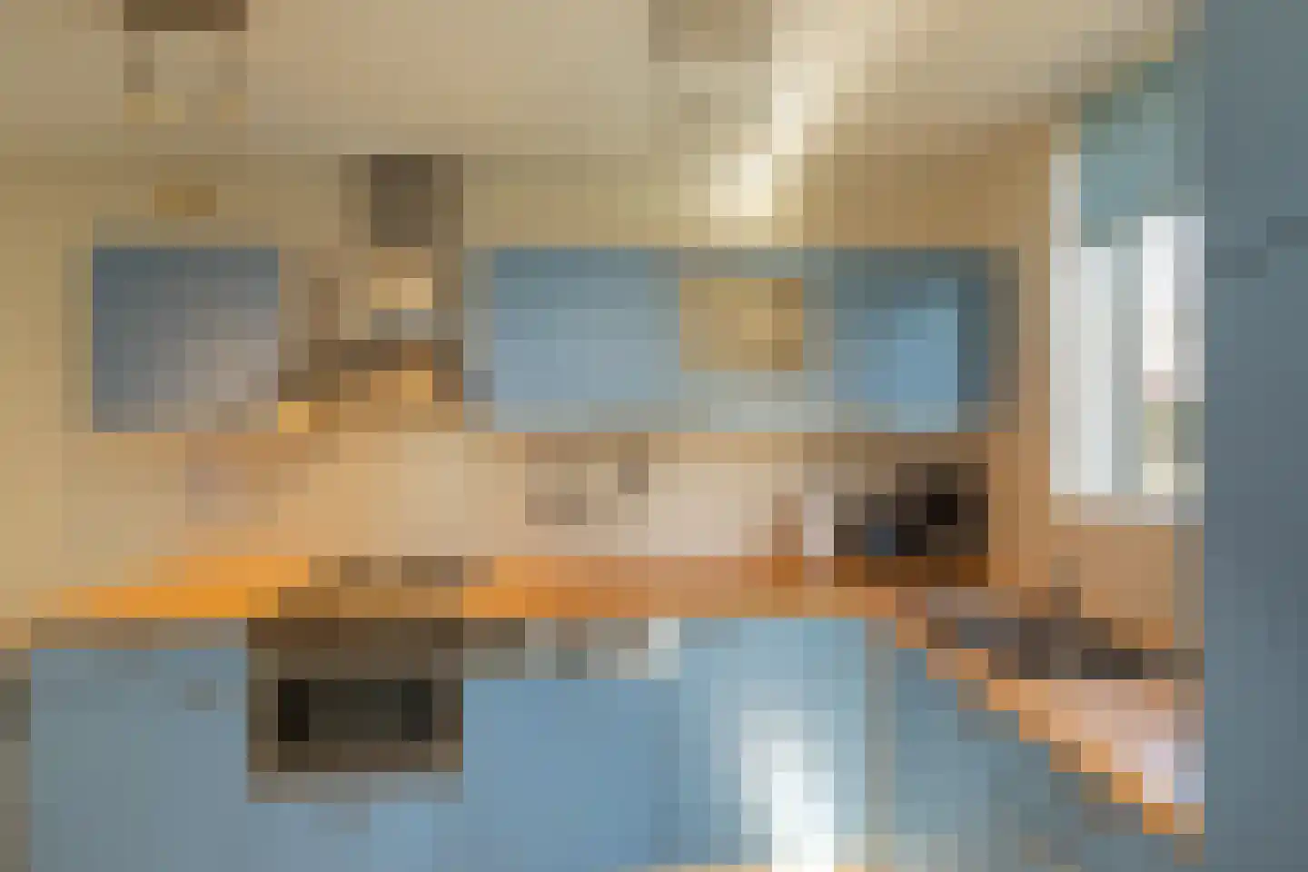 Kluut 2 Zoutelande thumbnail 18