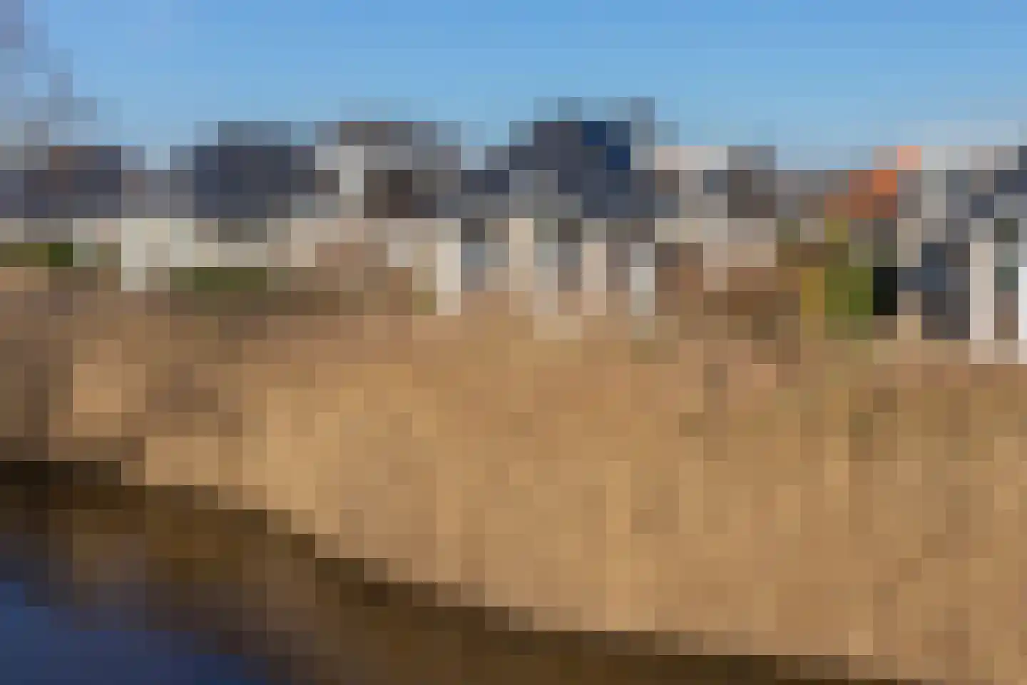 Kluut 2 Zoutelande foto 2