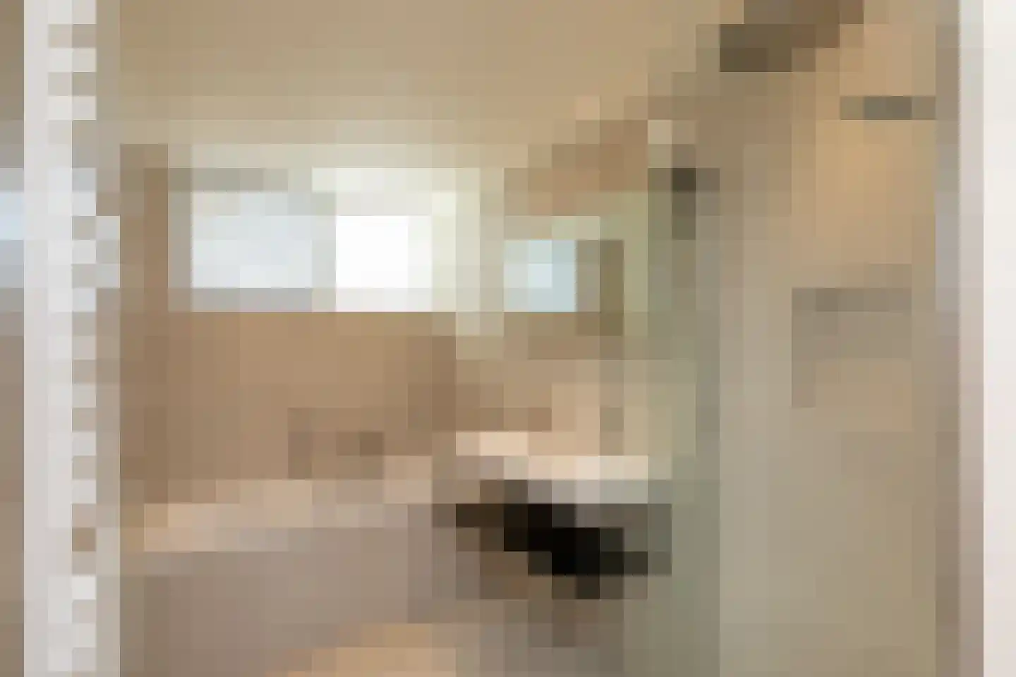 Kluut 2 Zoutelande thumbnail 22