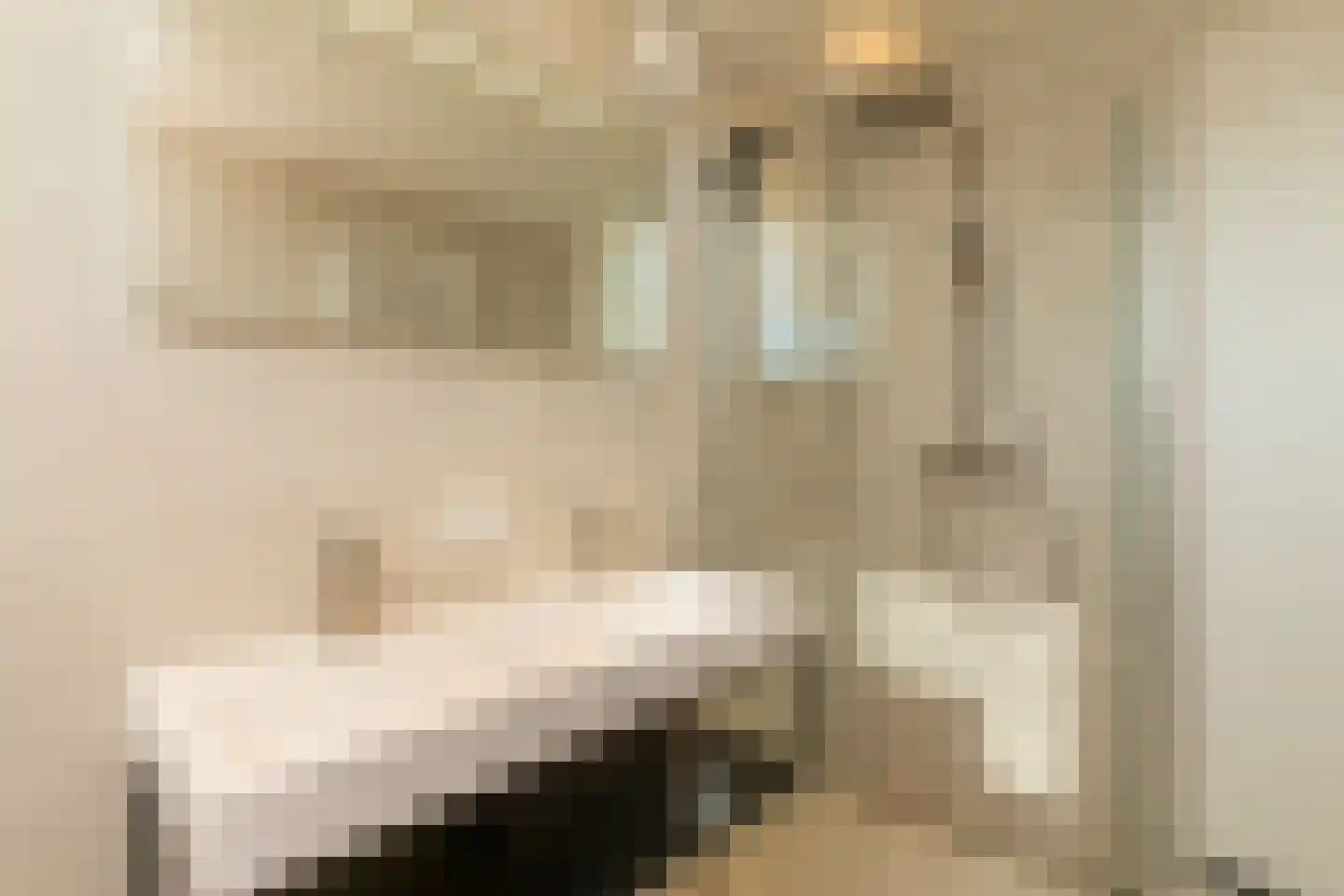 Kluut 2 Zoutelande thumbnail 23
