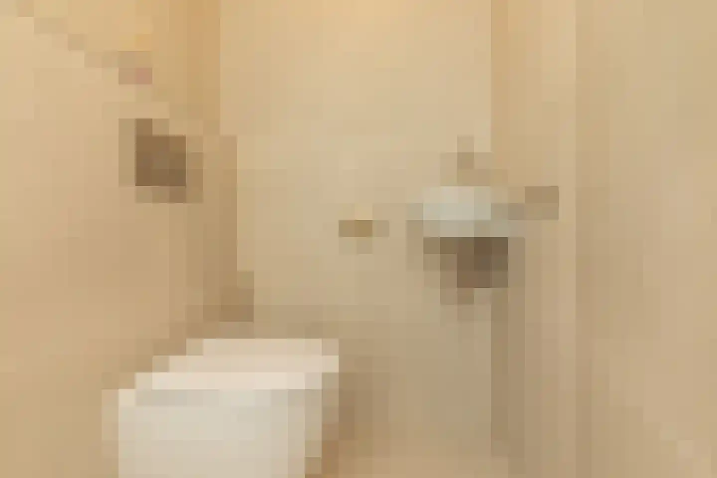 Kluut 2 Zoutelande thumbnail 24