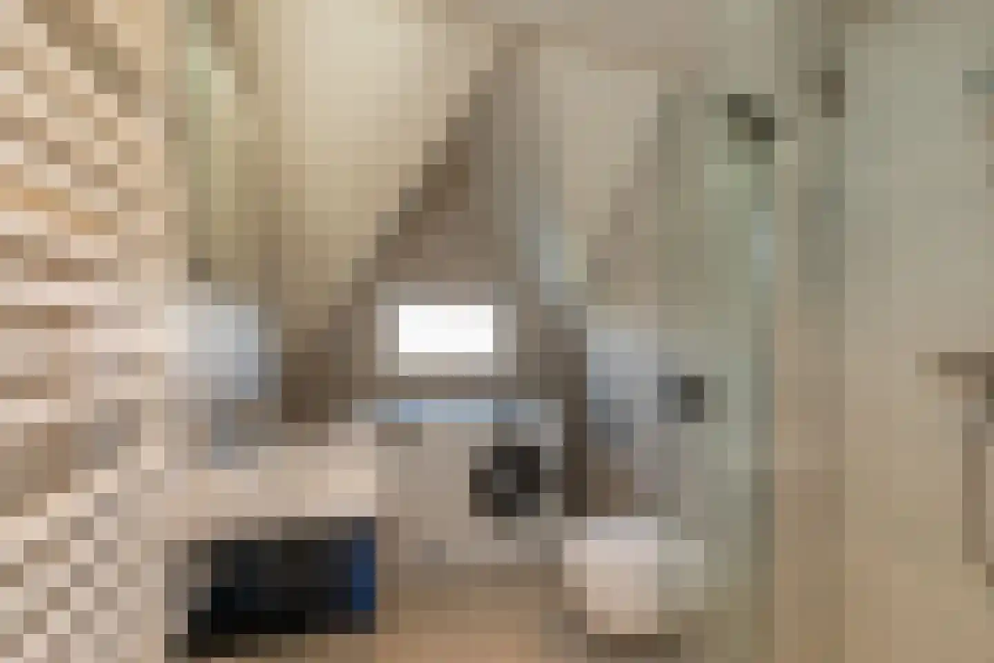 Kluut 2 Zoutelande thumbnail 28