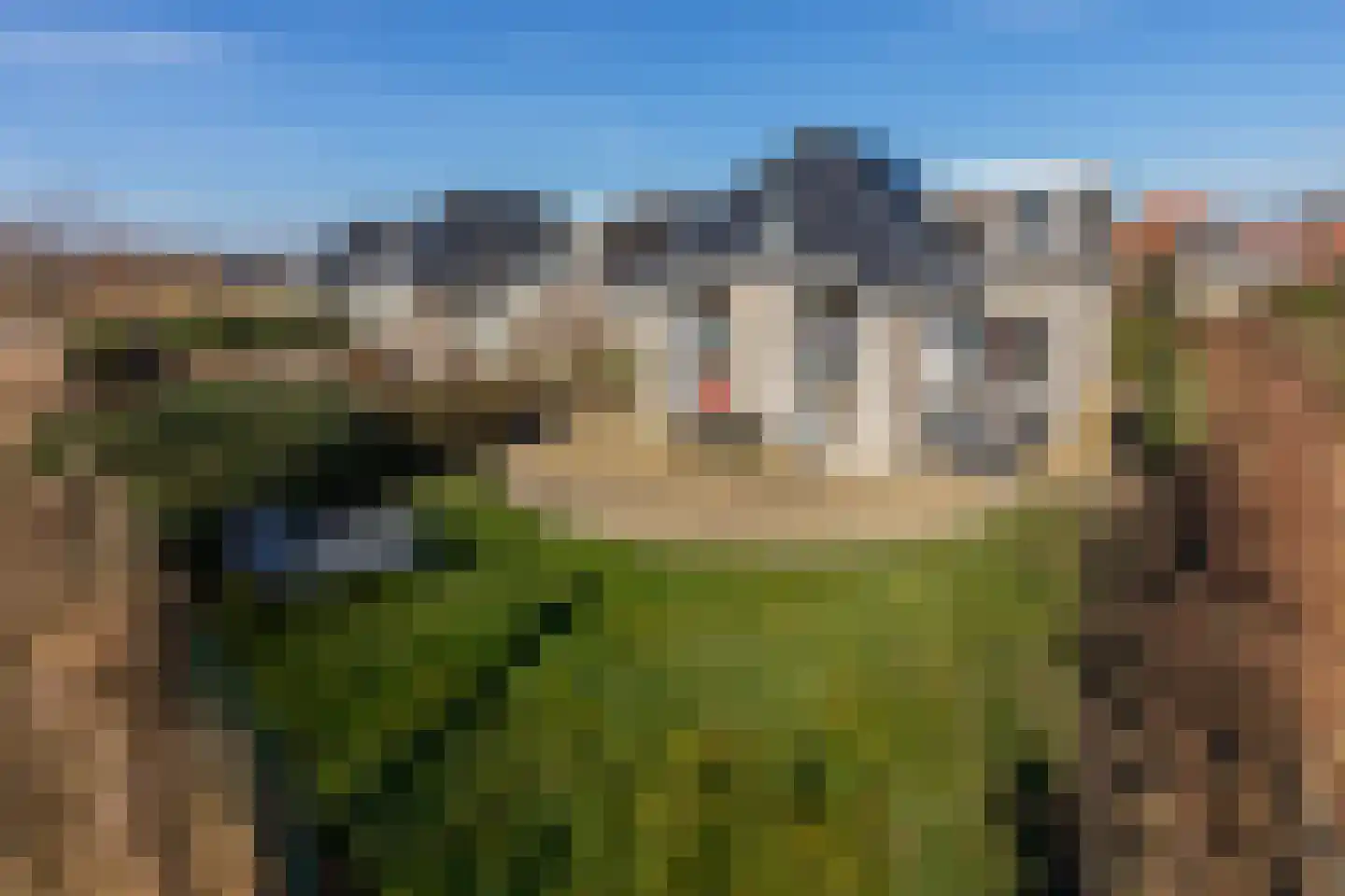 Kluut 2 Zoutelande foto 3
