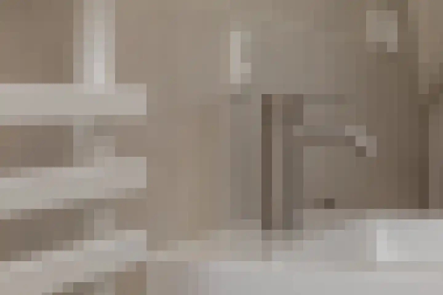 Kluut 2 Zoutelande thumbnail 30