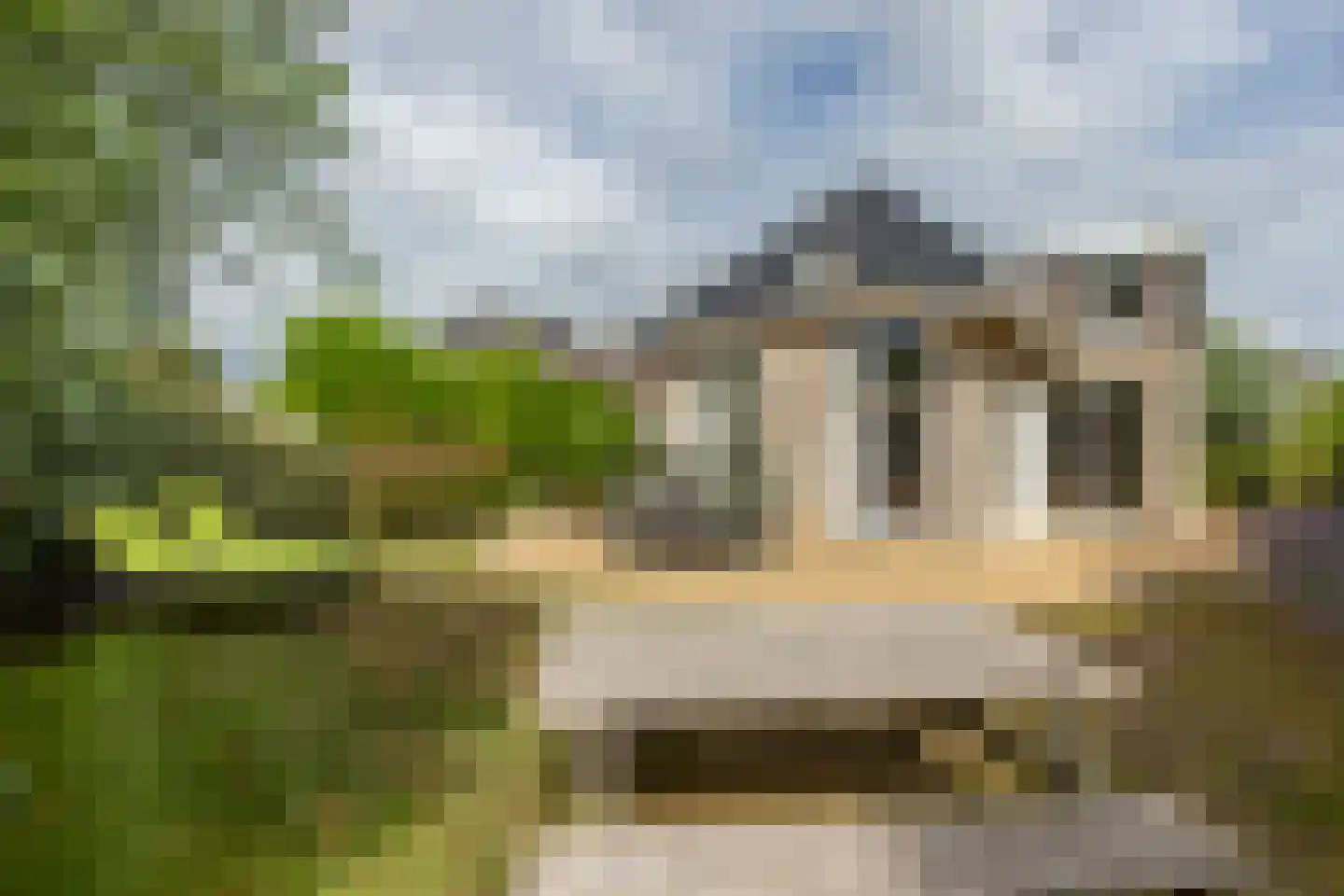 Kluut 2 Zoutelande thumbnail 31