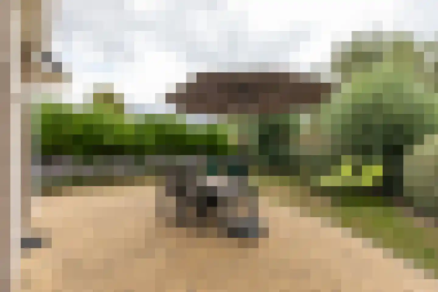 Kluut 2 Zoutelande thumbnail 33