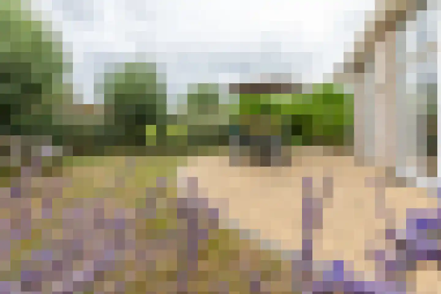 Kluut 2 Zoutelande thumbnail 34