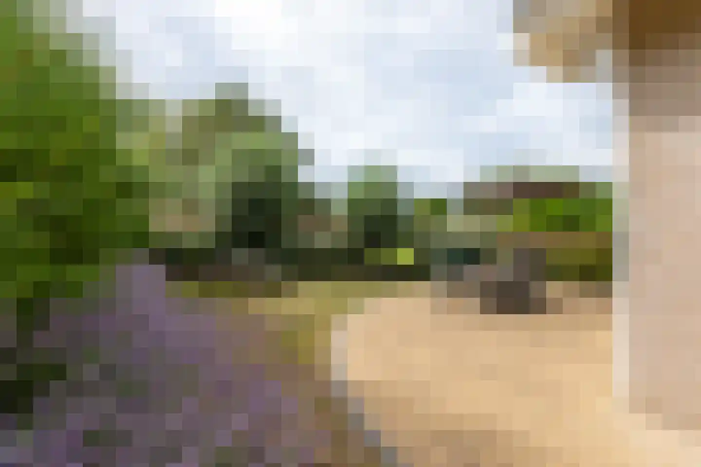 Kluut 2 Zoutelande thumbnail 35