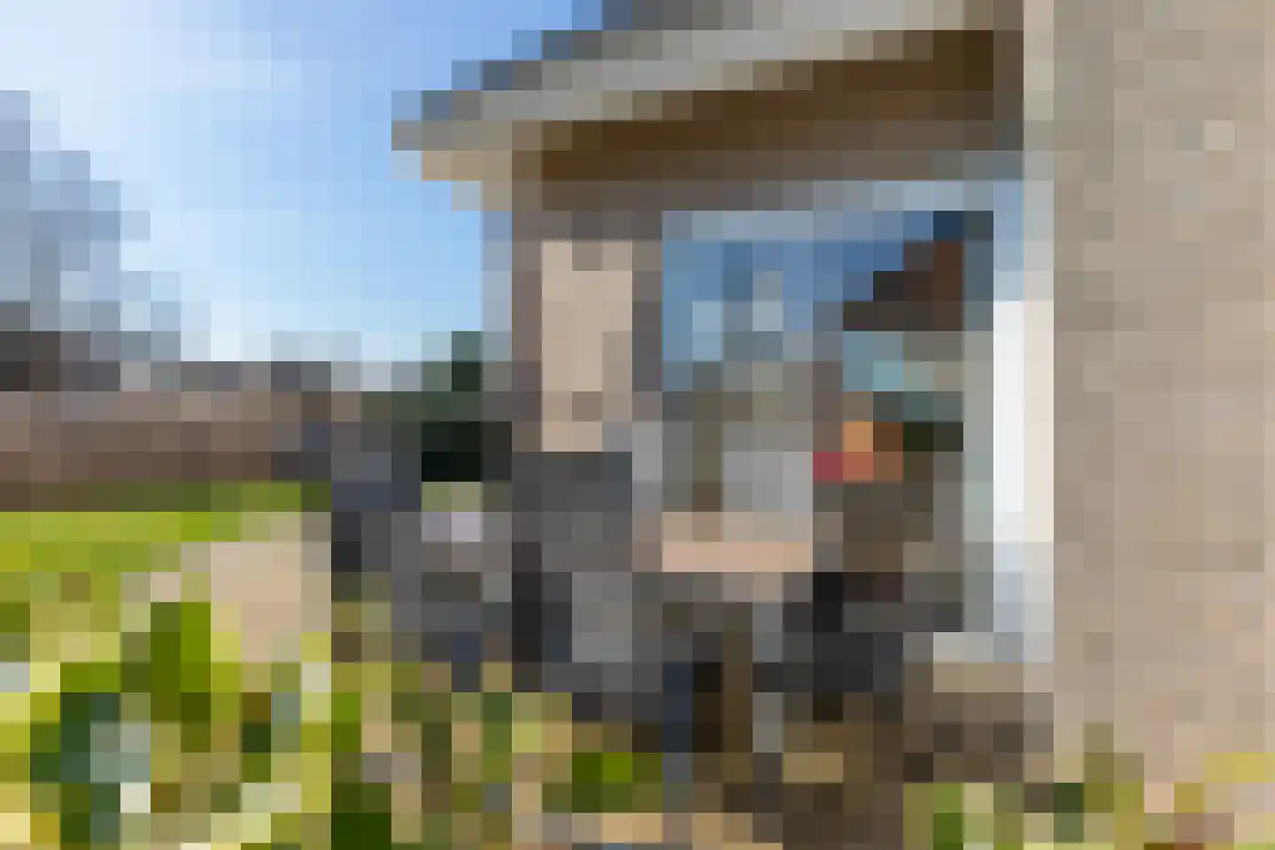 Kluut 2 Zoutelande thumbnail 37