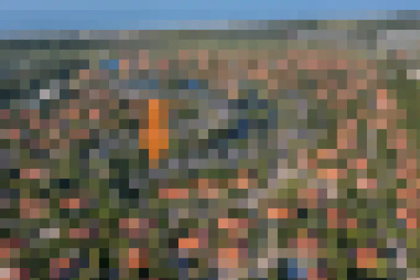 Kluut 2 Zoutelande thumbnail 4