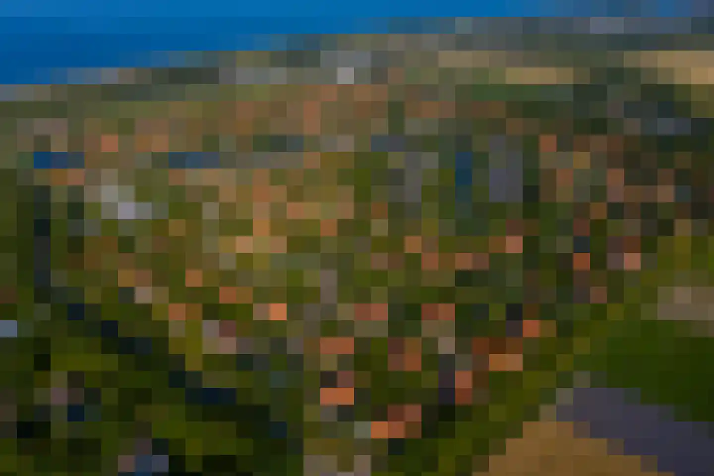 Kluut 2 Zoutelande thumbnail 6
