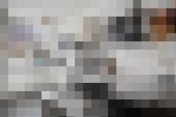 Kluut 36 Bunschoten-Spakenburg thumbnail 16