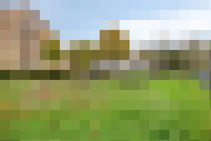 Kluut 36 Bunschoten-Spakenburg thumbnail 43