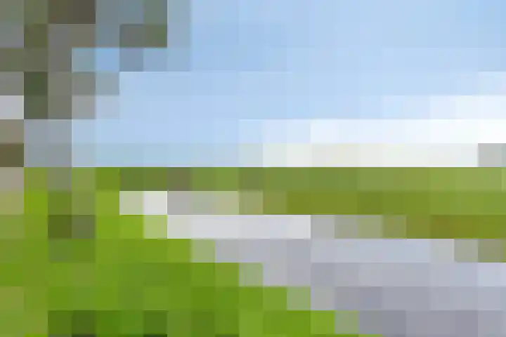 Kluut 36 Bunschoten-Spakenburg thumbnail 44