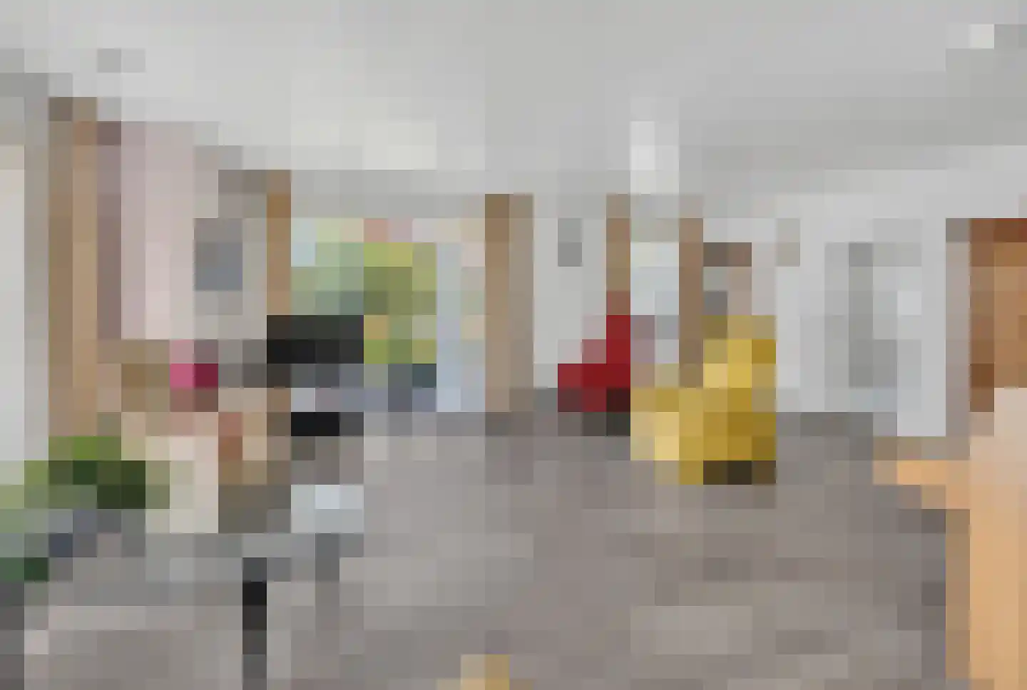 Kluut 38 Sommelsdijk thumbnail 11
