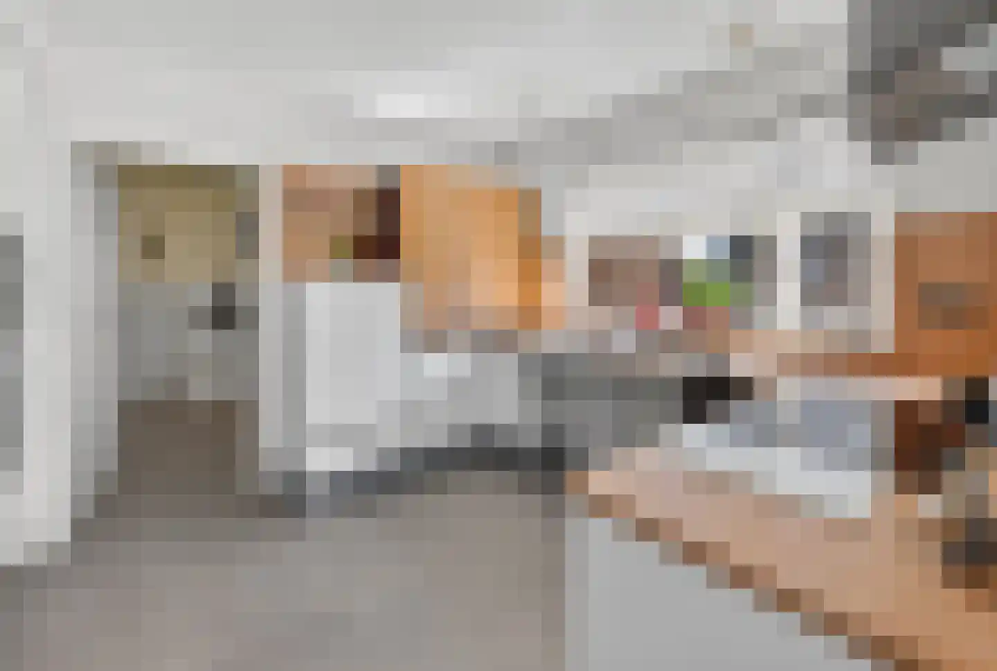 Kluut 38 Sommelsdijk thumbnail 16
