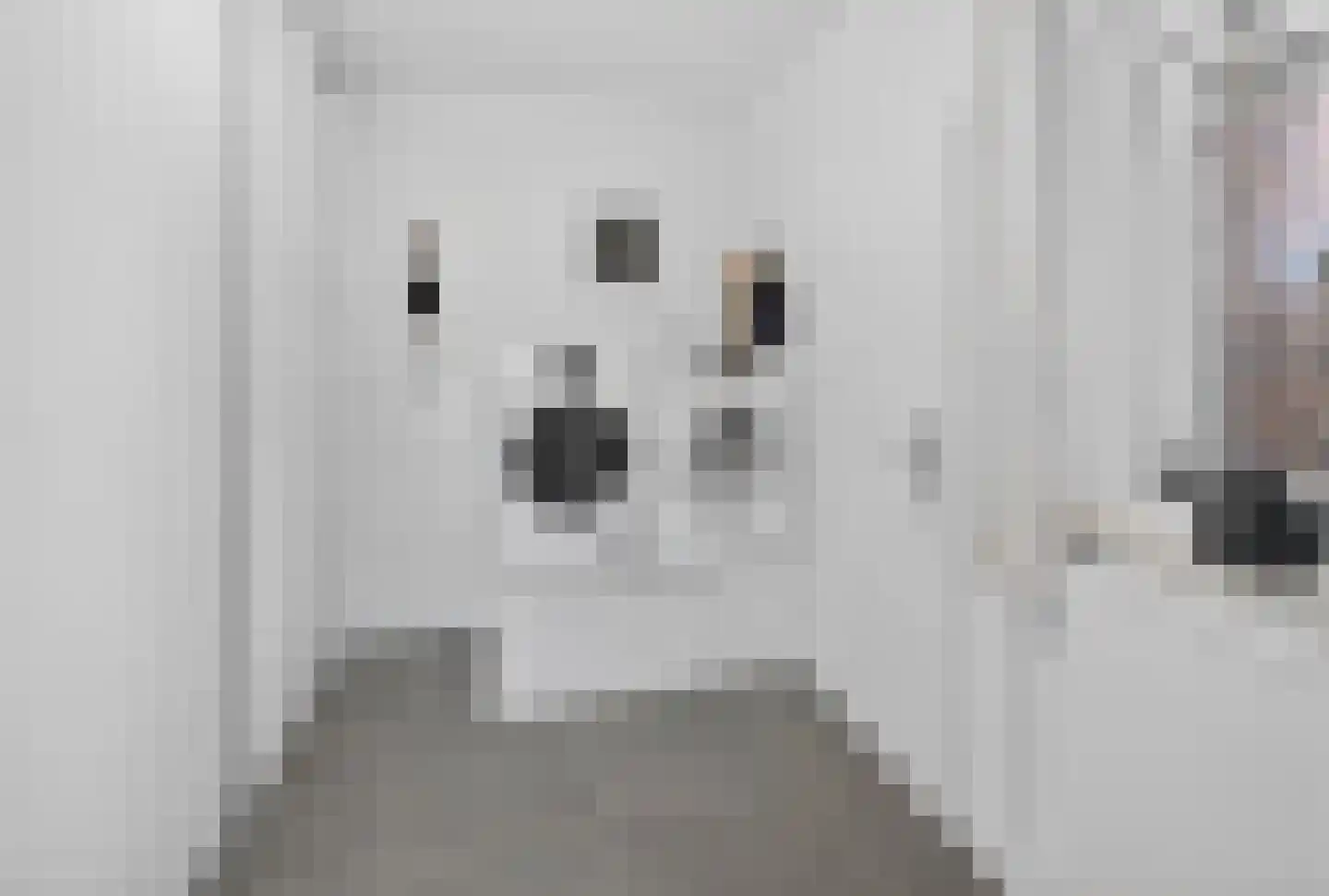 Kluut 38 Sommelsdijk thumbnail 18