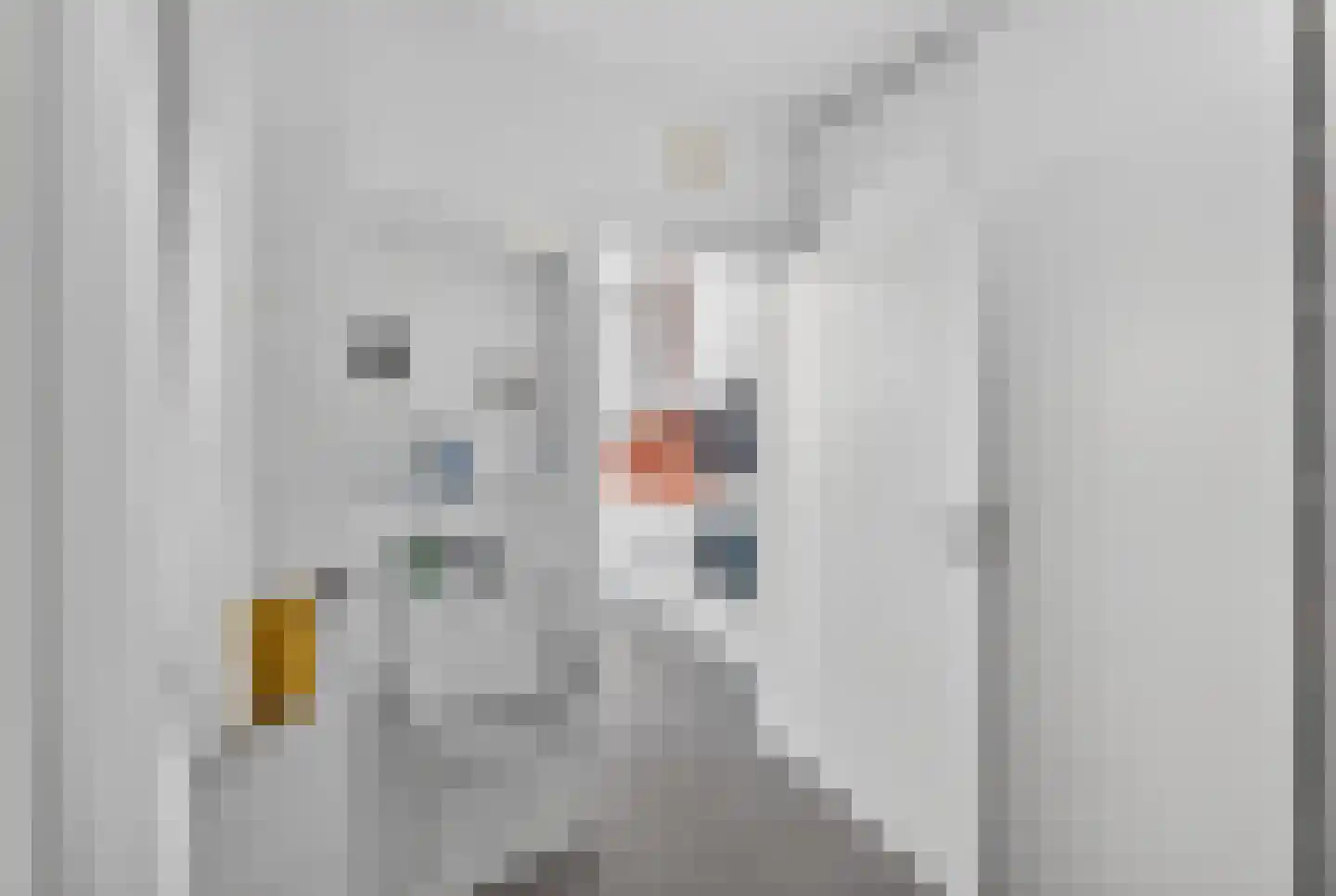Kluut 38 Sommelsdijk thumbnail 19