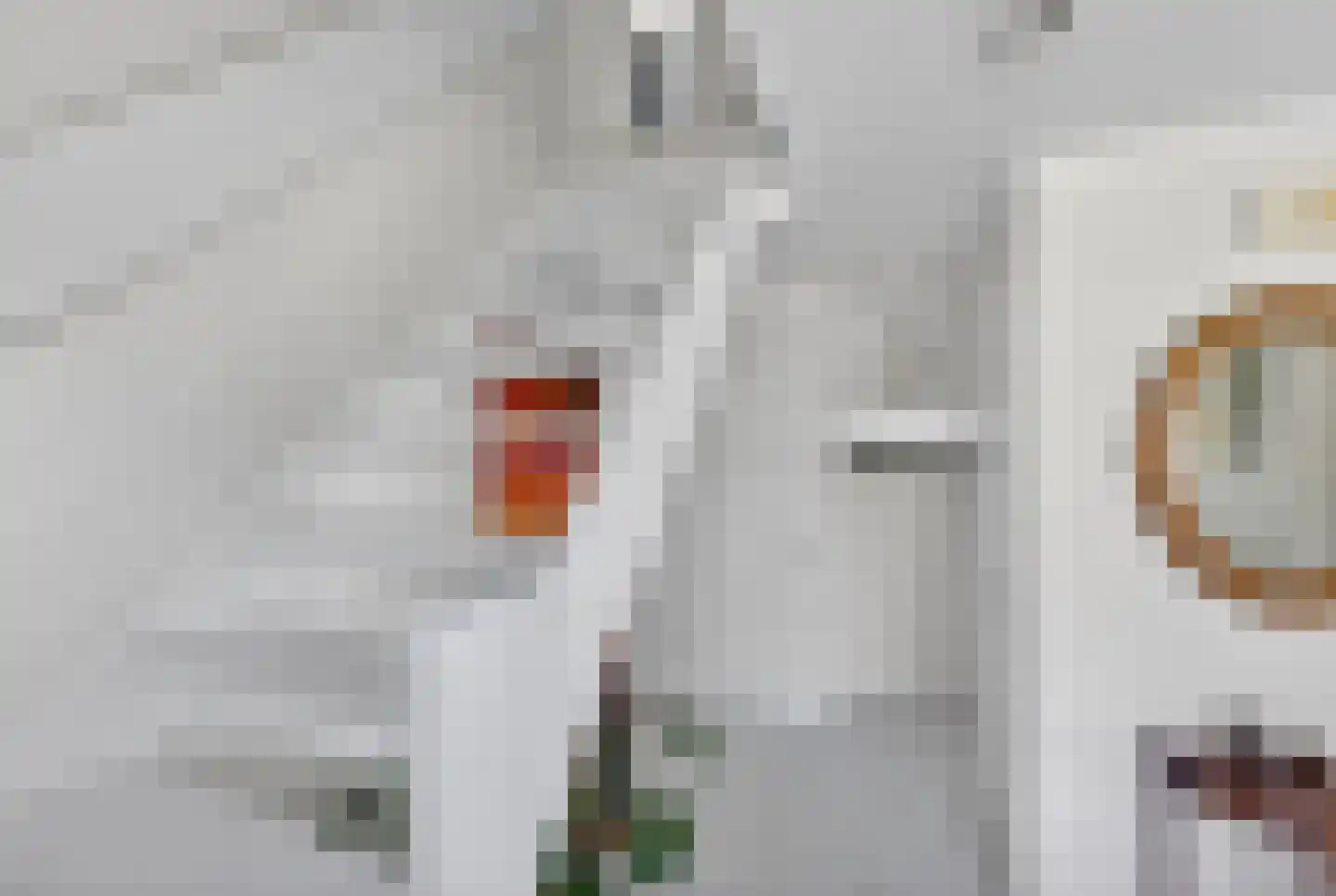 Kluut 38 Sommelsdijk thumbnail 27
