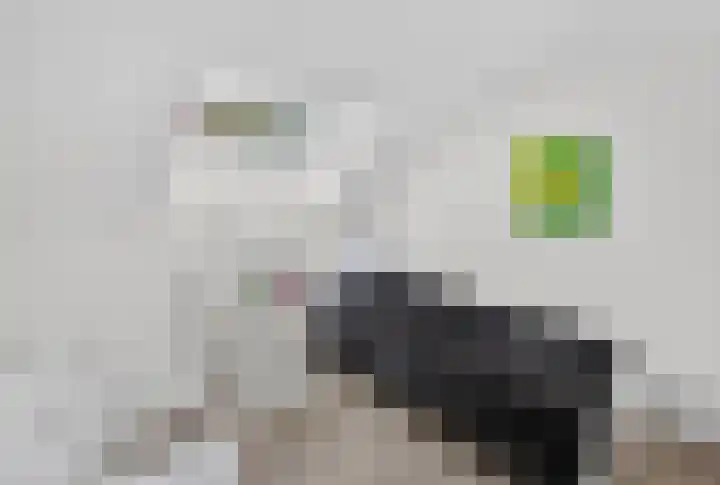 Kluut 38 Sommelsdijk thumbnail 29