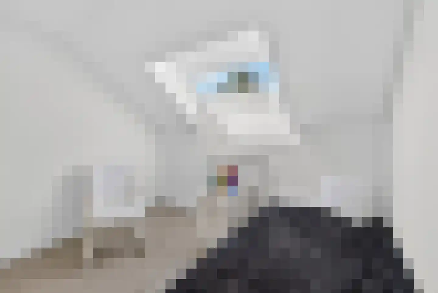 Kluut 38 Sommelsdijk thumbnail 31