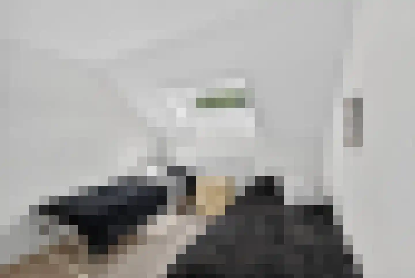 Kluut 38 Sommelsdijk thumbnail 32