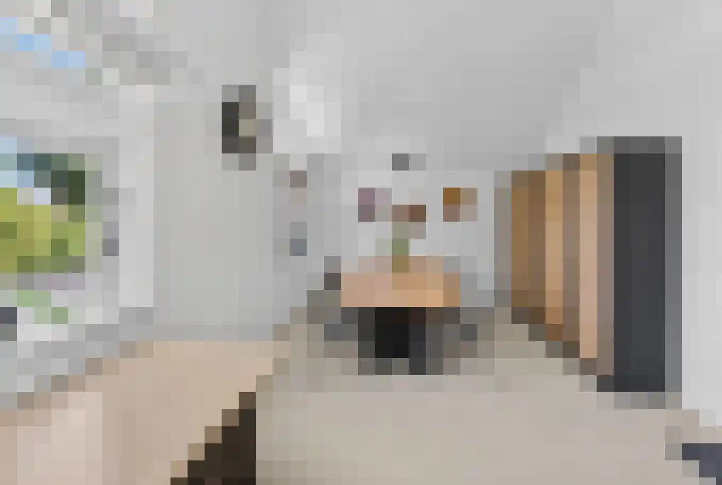 Kluut 38 Sommelsdijk thumbnail 35